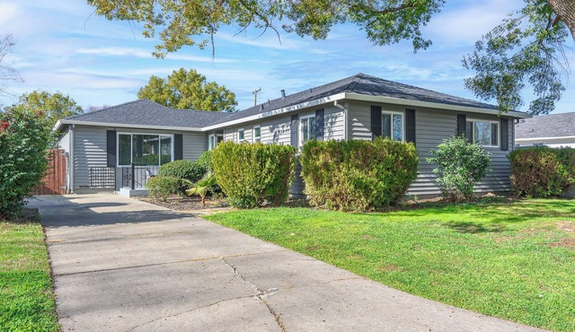 Modern Home Pet Playground