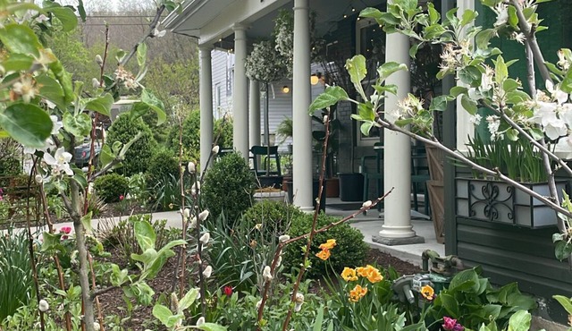 Modern Homestead Guest House