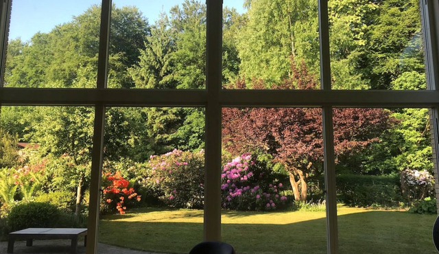 Modern house directly to forest