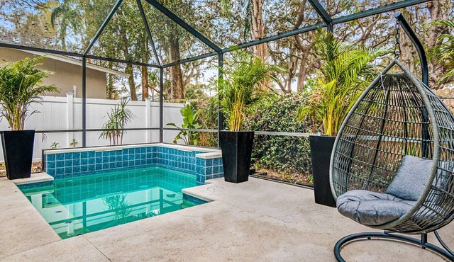 Modern House in Clearwater with Swimming Pool