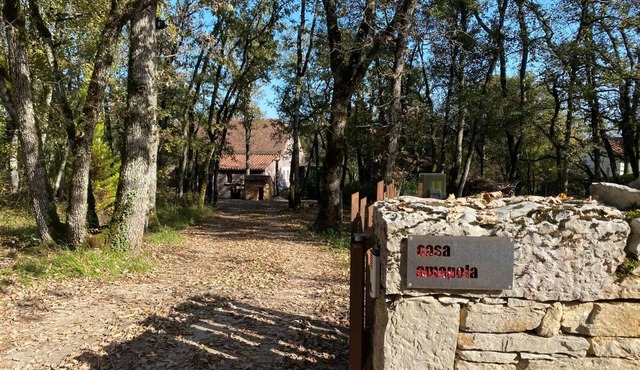 Modern house in quiet country setting in charming Lot village.