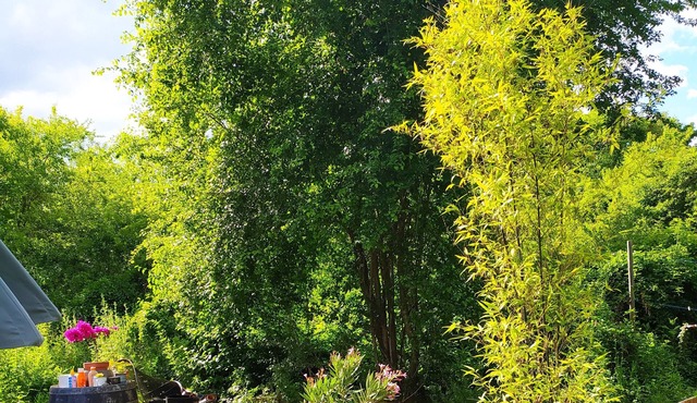 Modern house near the capital