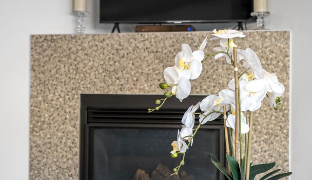 Modern House with Private Backyard and Fireplace