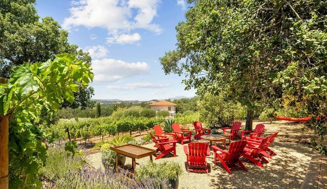 Modern Italian Villa surrounded by Vineyards and Gardens, w/ Pool & Heated Spa