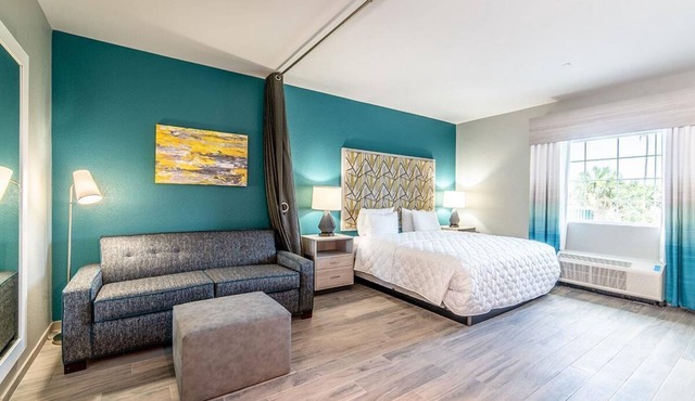 Modern King ADA Hotel Suite