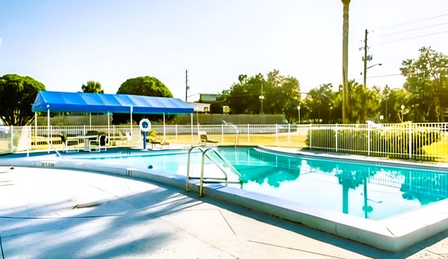 Modern King Bed near Ocala Civic Theatre | Outdoor Pool | Free Parking
