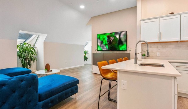 Modern King Suite near Wooster Square and Yale
