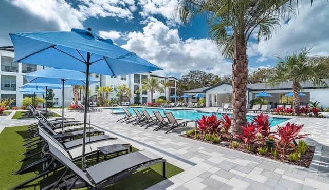 Modern King Suite, Resort Amenities & Pet-Friendly