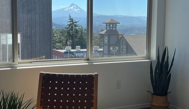 Modern loft downtown White Salmon #11