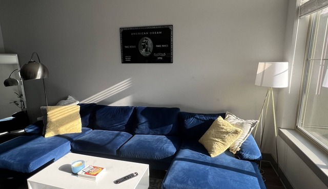 Modern , luxurious, DC apartment with pool and gym