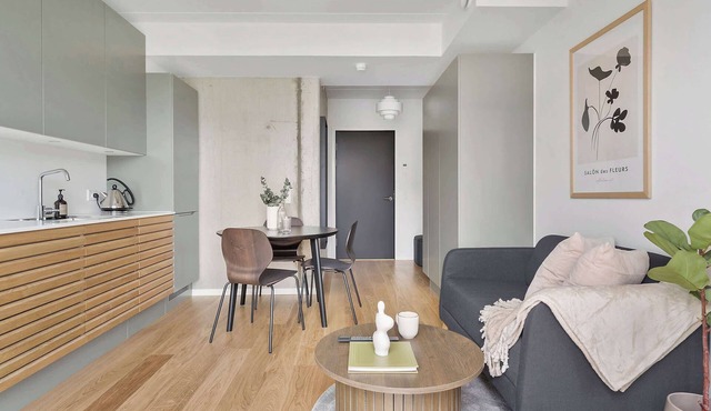 Modern luxury apartment