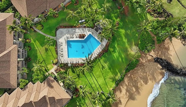 Modern Luxury Renovated Ocean View Condo - Steps to the beach with Pool and A/C