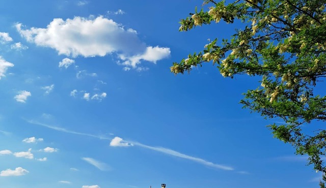 Modern luxury villa with heated pool, in a beautiful quiet countryside.