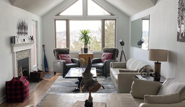 Modern Muskoka Executive 1 bedroom Loft/Condo