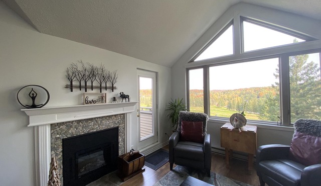 Modern Muskoka Executive 2 Bedroom Condo/Loft. Minutes to the Provincial Parks!