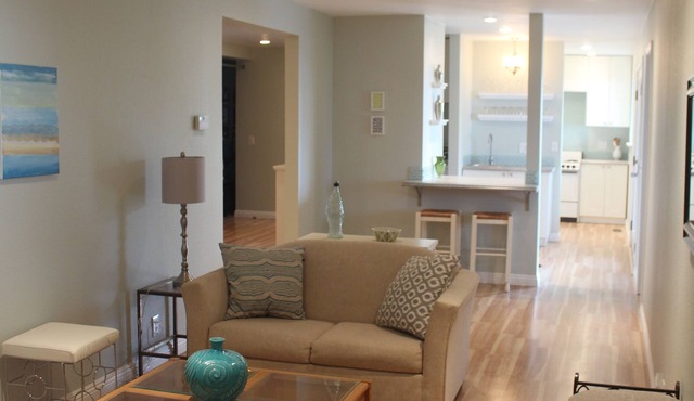 Modern Oasis Amongst the Pines!