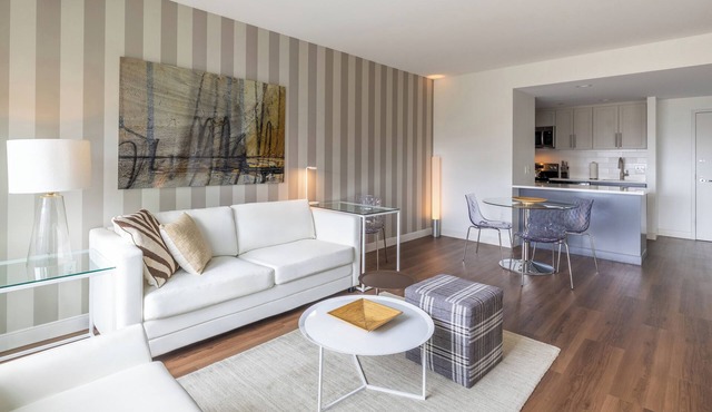 Modern One Bedroom Apartment in Kendall Square