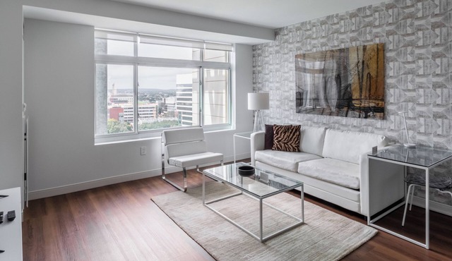 Modern One Bedroom Apartment in Kendall Square