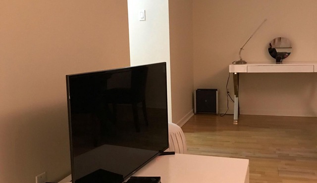 Modern one bedroom condo sleep 4!