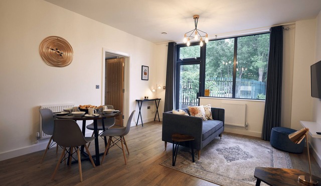 Modern One Bedroom Apartment