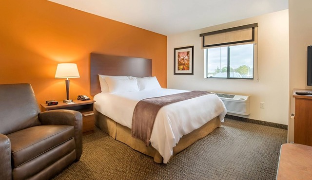 Modern Pet-Friendly Stay Perfect for Families on a Trip Near Twelve Oaks Mall