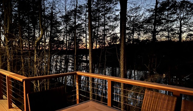 Modern pet friendly home w/covered dock near Lake Lanier Olympic Park