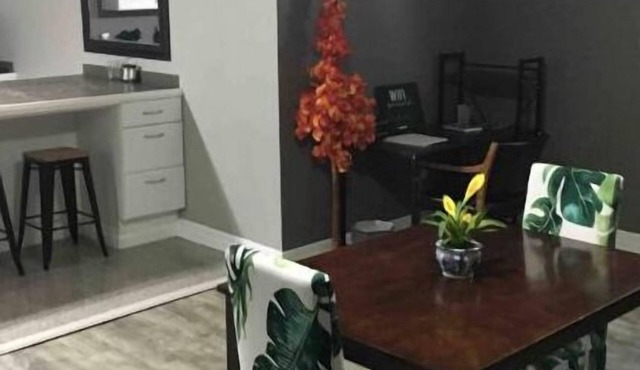 Modern Pet ok15 min from beach. 25 min from slopes