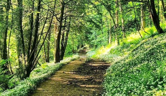 Modern, private, home from home with amazing views and great hiking trails