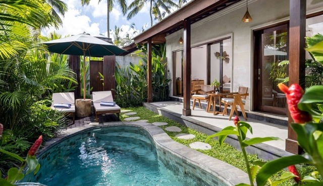 Modern Private Pool Villa Rice Field Views Romantic Escape at North Ubud Bali
