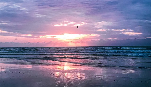 Modern - recently renovated - come and enjoy!