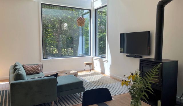 Modern Retreat on Goose Pond