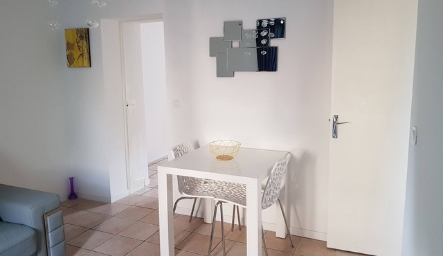 Modern roanne apartment