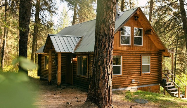 Modern romantic 2-bed log cabin in the forest