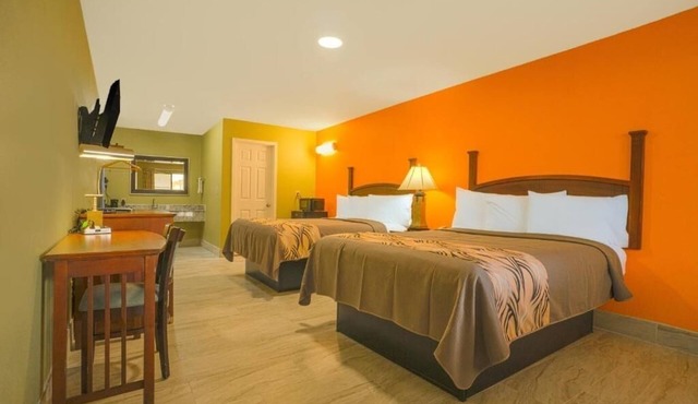 Modern Room Near Aquatic Center + Pool Access & Pet Friendly