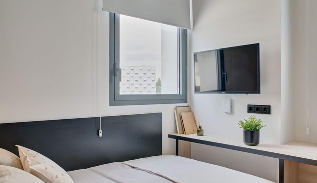 Modern Room with High-Speed Wi-Fi in Pamplona