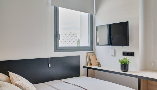 Modern Room with High-Speed Wi-Fi in Pamplona