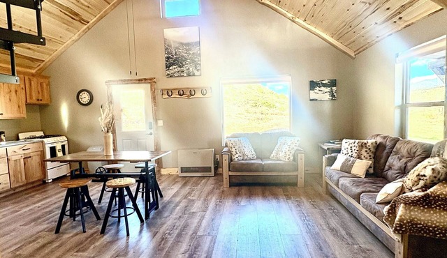 Modern Rustic Appeal with the Wild Rio Grande National Forest as your backyard!