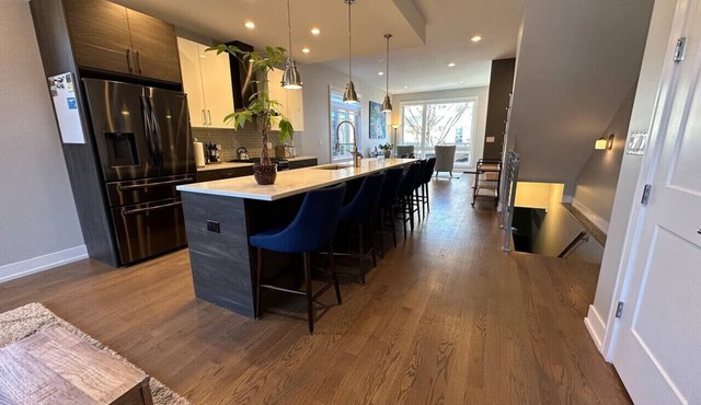 Modern SFH Near McCormick Place & Soldier Field