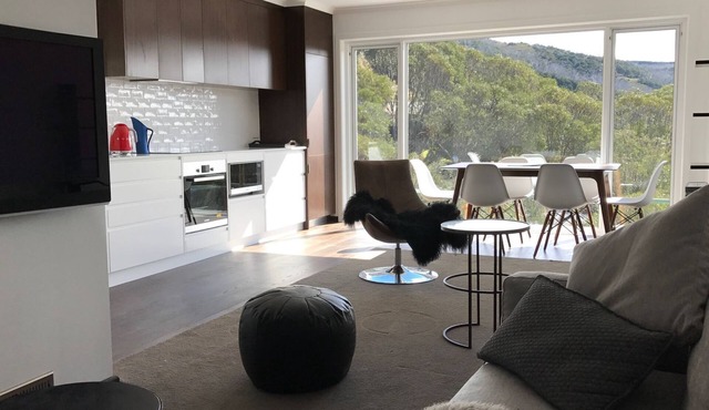 Modern ski in ski out