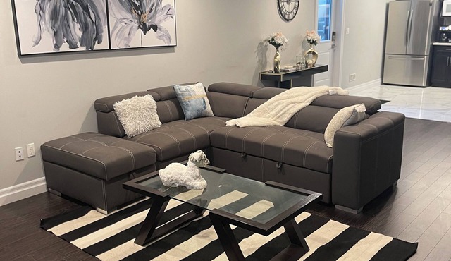 Modern Spacious 1 bedroom and a den home (Lower Unit)