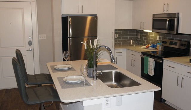 Modern Spacious Condo King Bed w.RoofTop Pool &Gym