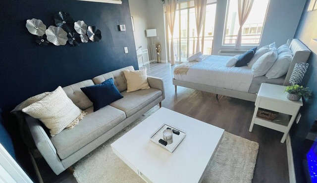 Modern Spacious Studio Apartment