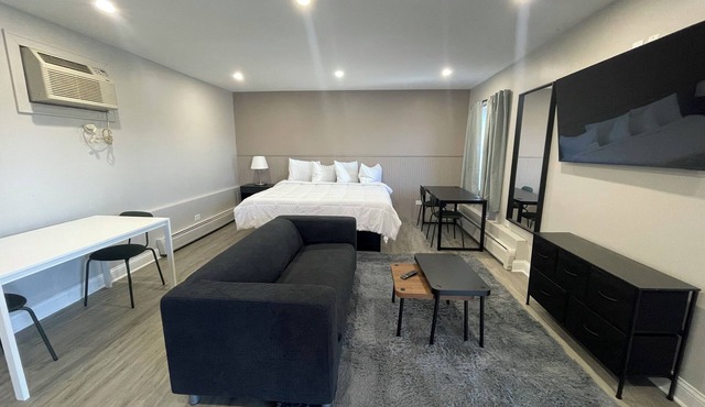 Modern & Spacious Studio Suite