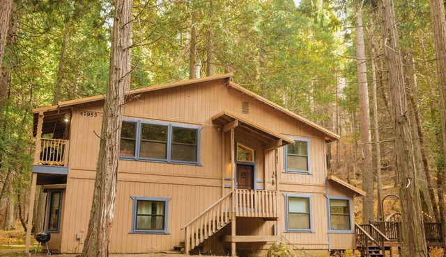 Modern & spacious Sugar Pine cabin- only 15 minutes away from Yosemite!