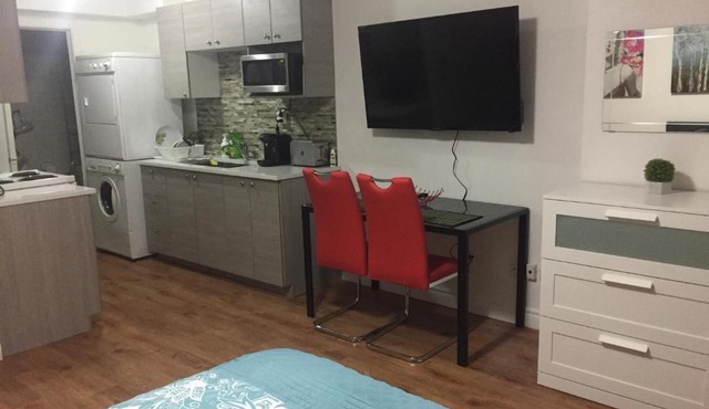 Modern Studio Apartment in Rosemont Near Downtown Montreal-D