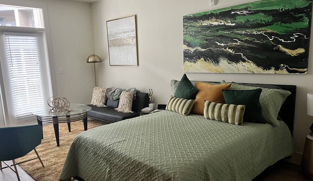 Modern studio near DT Fort Worth,Stockyards,Dickies Arena