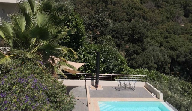 Modern studio with magnificent sea view in a quiet, leafy setting