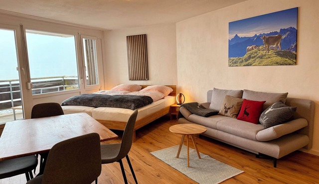 Modern studio with mountain view, balcony & wellness - sauna & pool | Scheidegg in Scheidegg