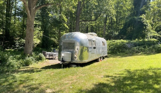 Modern Styled Vintage Airstream Nestled by a Stream on a Picturesque Tree Farm
