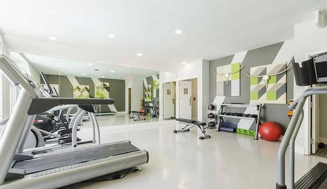 Modern, Stylish Apartment Fast WiFi, Fitness Center, Prime Location